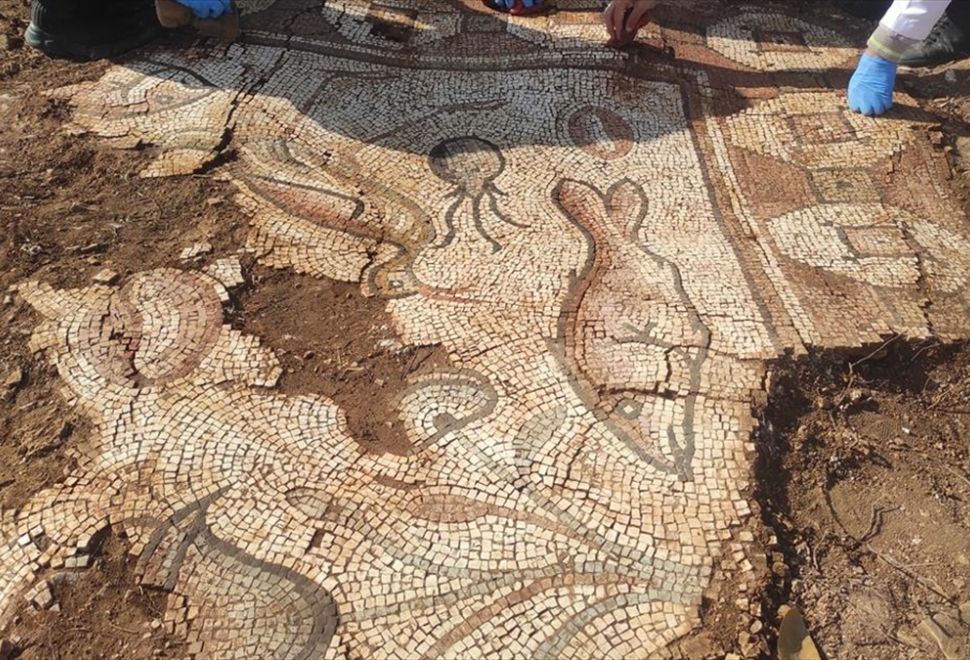 Mardin'de Kurtarma Kazısında Deniz Canlıları Figürlü Mozaikler Bulundu