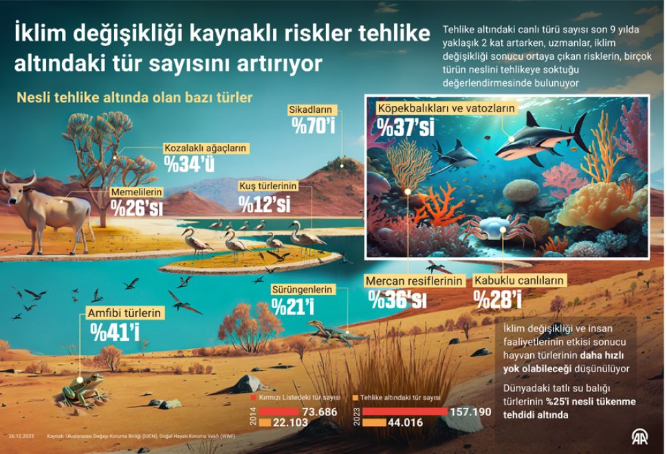 İklim Değişikliği Kaynaklı Riskler Tehlike Altındaki Tür Sayısını Artırıyor