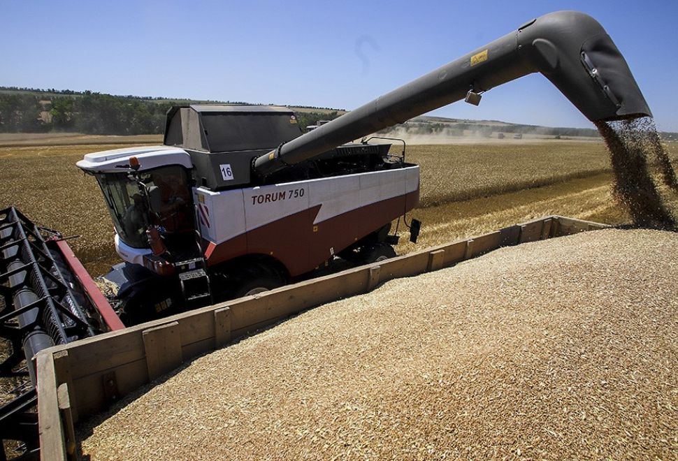 Rusya, Afrika'daki Bazı Ülkelere Bedelsiz 200 Bin Ton Tahıl Sevkiyatı Yaptı