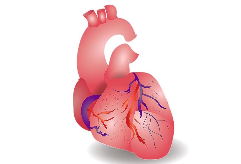 İnsan Vücudundaki Nanoplastikler ile Kalp Krizi Ve Felç Arasında Bağlantı Tespit Edildi