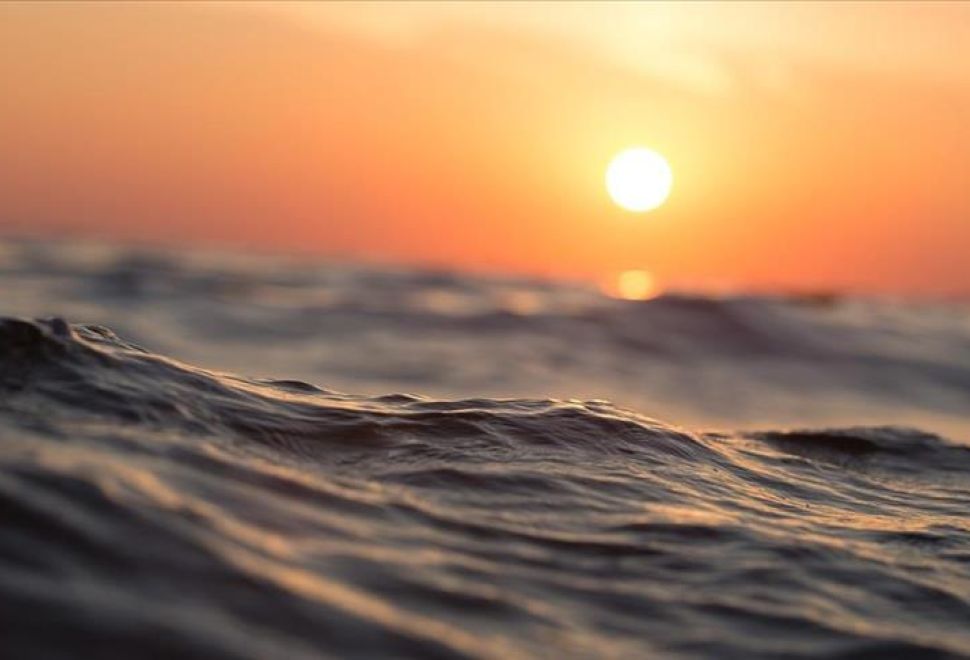 Uzmanlar Yükselen Okyanus Sıcaklıklarının Zincirleme Tepkilere Neden Olabileceği Konusunda Uyarıyor