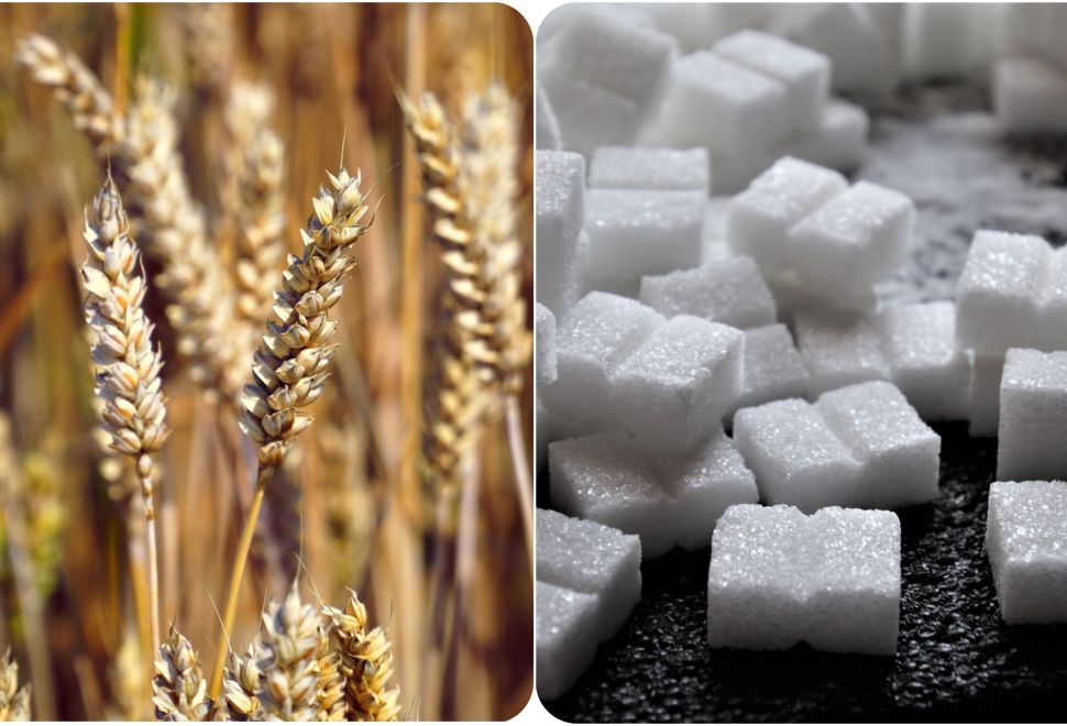 Tahıl ve Şekerin İnsan Hayatına Girmesiyle Diş Çürüklerinin Arttığı Belirlendi