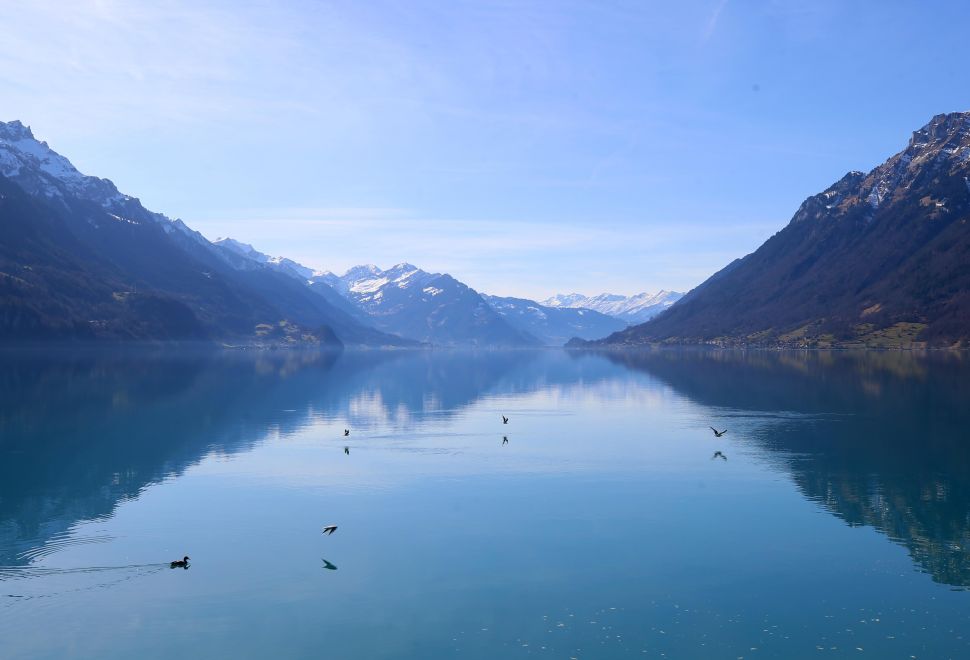AİHM, İsviçre'nin İklim Değişikliğiyle Mücadelede Yeterince Çaba Göstermediğine Karar Kıldı