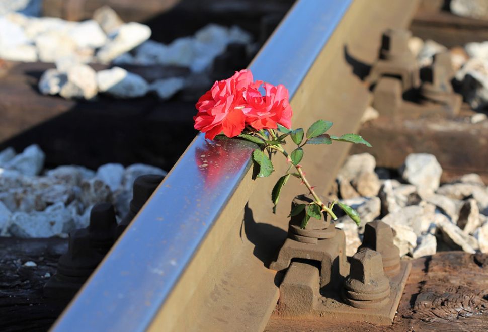 Almanya'da Tren Kazası, 1 Ölü