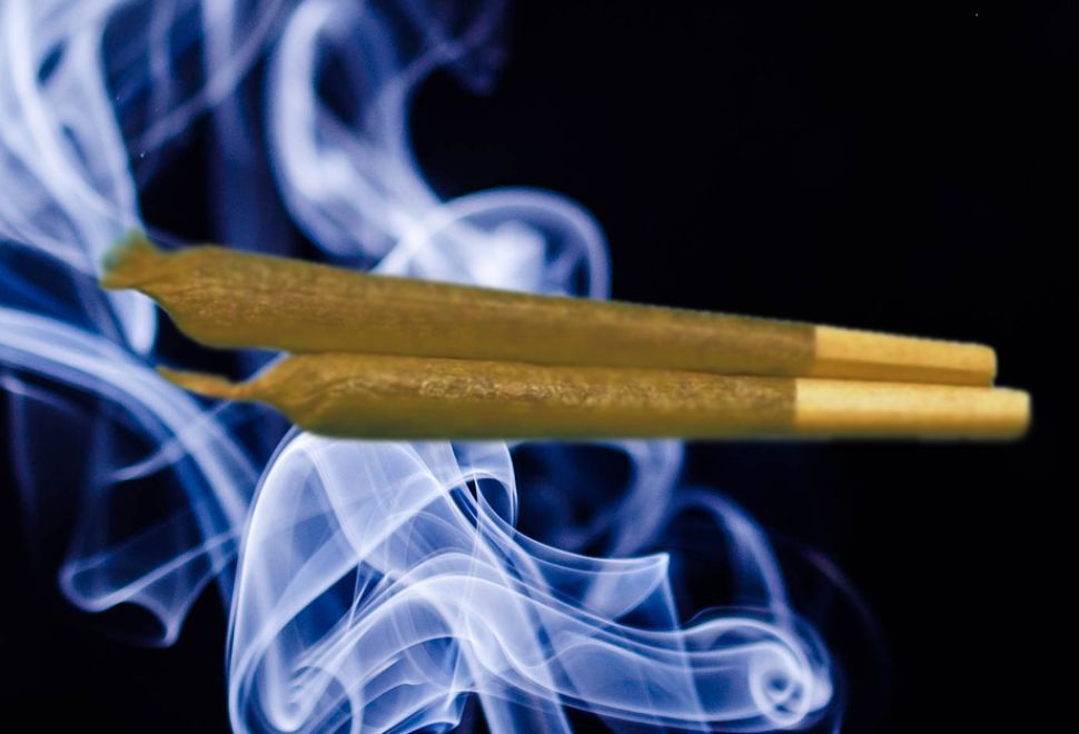 Bavyera’da Kenevir, Sigara Yasağı Kapsamına Alınacak