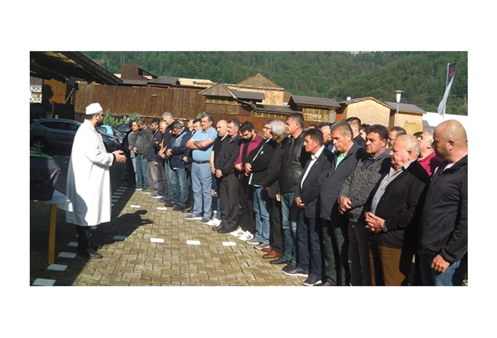 Bir Çınar Daha Devrildi