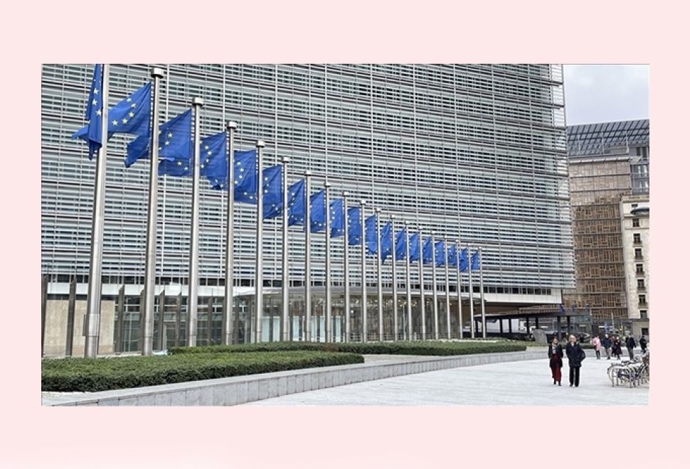 AB, Hollanda'daki Yeni Nükleer Reaktöre Dev Yatırım Onayı Verdi