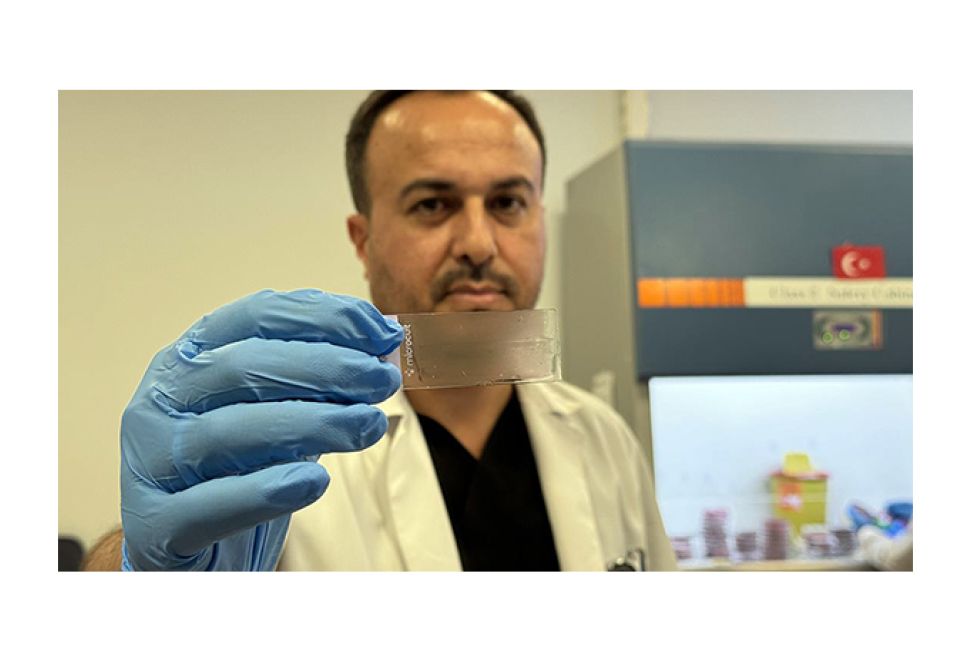 Hitit Üniversitesi, Yapay Zekâ ile Kanserli Hücreleri Tespit Ediyor