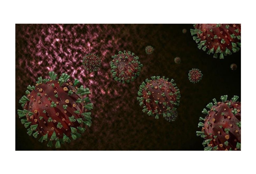 Fransa, Mpox Virüsüyle Mücadele İçin 100 Bin Doz Aşı Gönderecek
