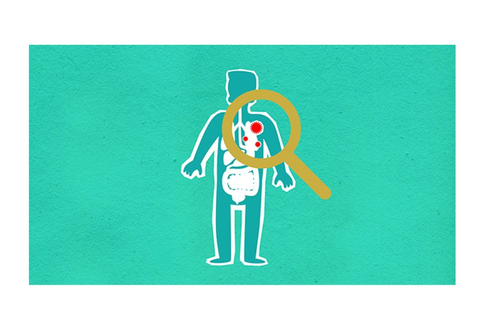 Almanya'da Organ Bağışı Artık Dijital Olarak Kaydedilebilecek