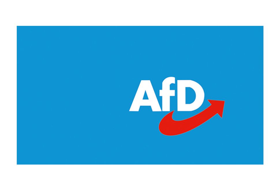 ‘Karşıma Çıkan 3 Kişiden Birinin AfD’yi Seçtiğini Bilmek Korkutucu’