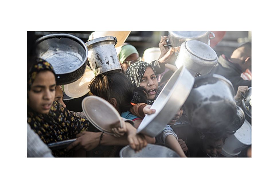 Dünya Gıda Günü'nde FAO'dan Uyarı, ‘Gıda, Bir İnsan Hakkıdır’