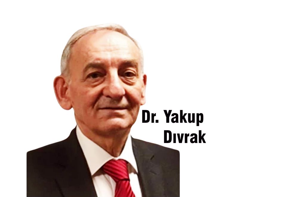 Almanya`da erken seçimler: Federal Meclis Seçimleri