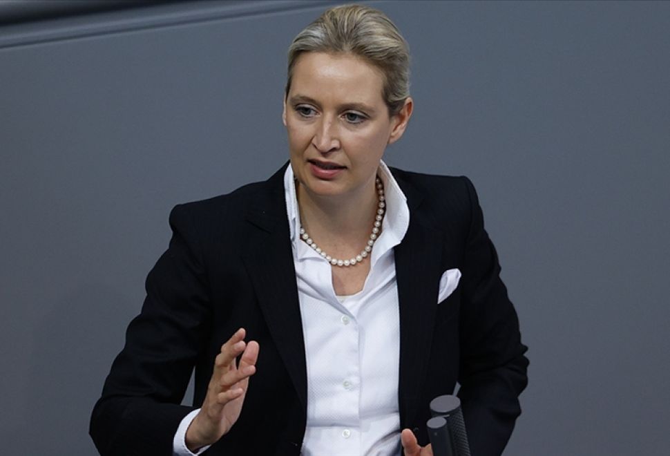 Alice Weidel Kimdir?