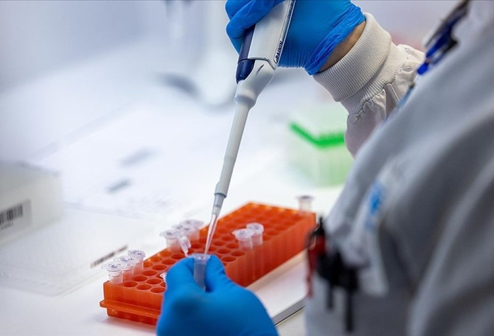 Mpox Sierra Leone'de Hızla Yayılıyor