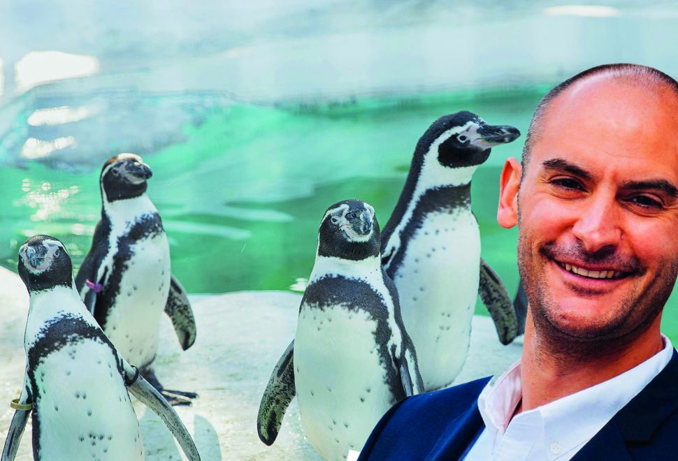 Bakan Bayaz’dan Gözlüklü Penguene Destek