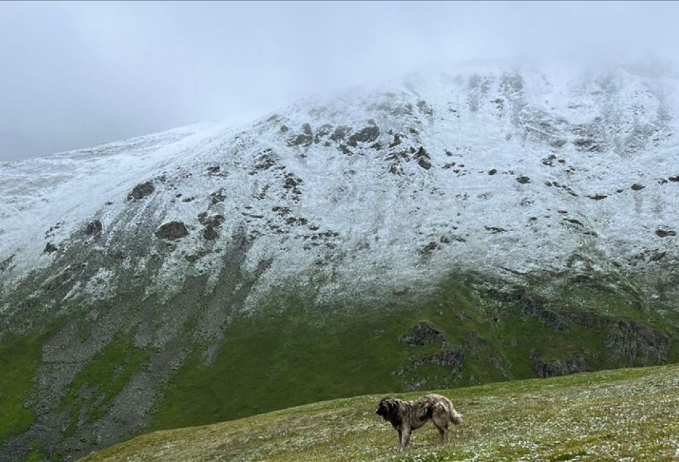 Rize, Trabzon ve Bayburt'ta Yaylalar Beyaza Büründü