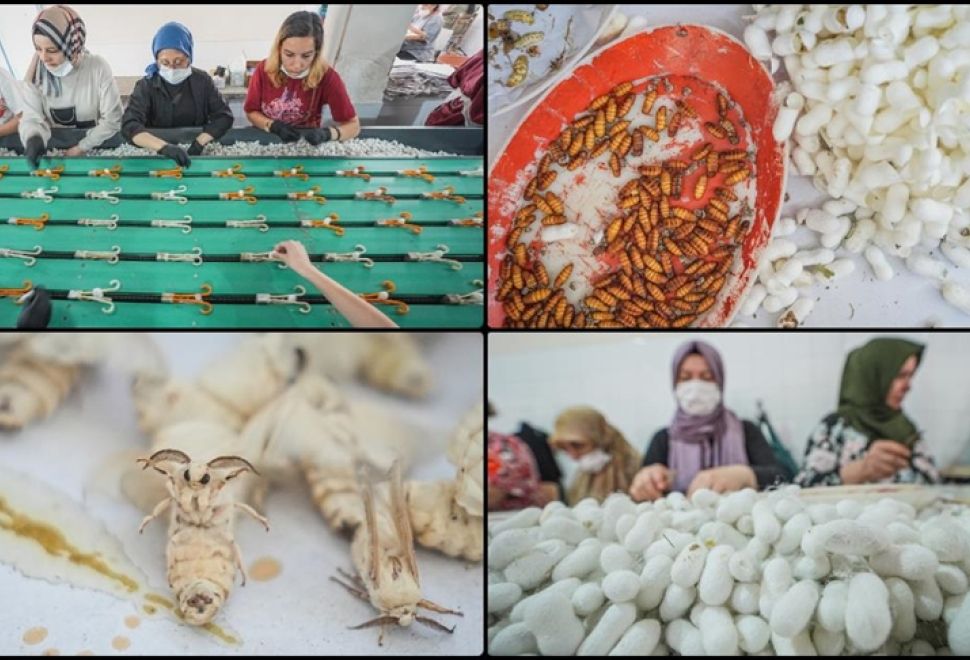 İpeğin Kalbi Yine Bursa