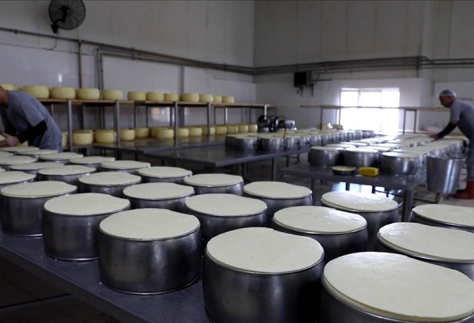 Kırklareli’nin Kaliteli Süt Ürünleri Uluslararası Pazarda