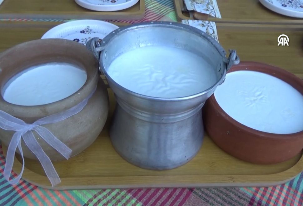 Silifke’de En İyi Yoğurt Yapma ve Yeme Yarışması Düzenlendi