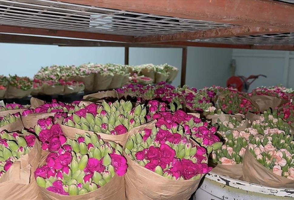 Isparta Karanfilleri Avrupa Yolunda 