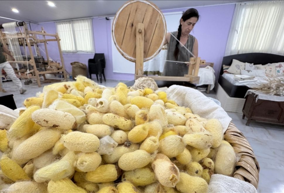 Emel Duman’dan Umudu Yeşerten Başarı, Hatay Sarısı İpeğine Coğrafi Tescil