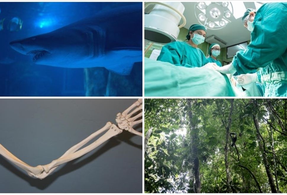 Bilimde Ekim Ayı Raporu