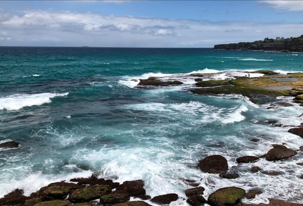 Savaşın Sesleri Kıyıya Vurdu, 109 Yıllık Mektuplar Bulundu