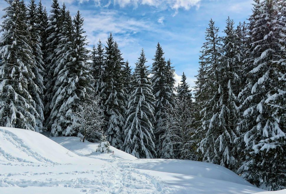 Avusturya, İsviçre ve İtalya’daki Birçok Dağ Geçidi Kasım İtibarıyla Kış Kapanışına Giriyor