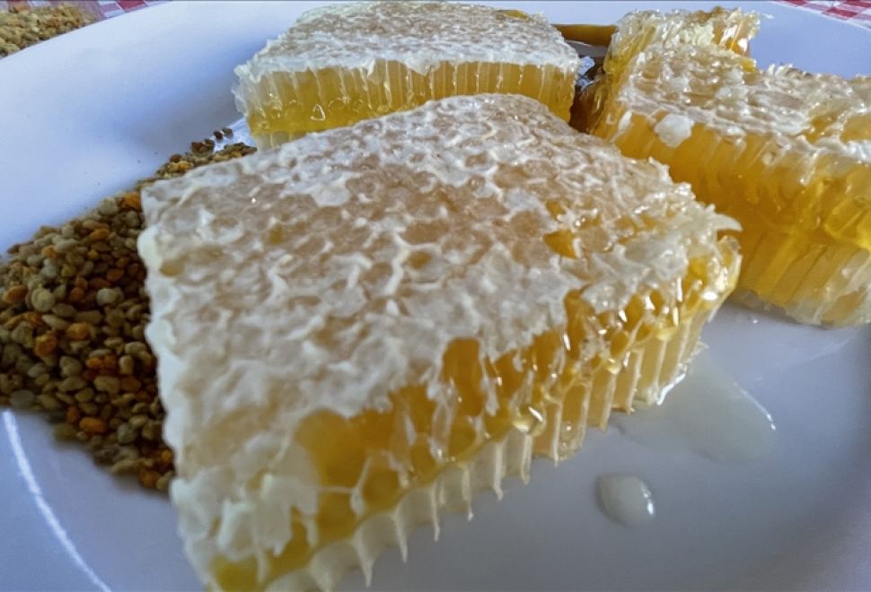 Yenice Ihlamur Balı Avrupa’da Resmen Tescillendi