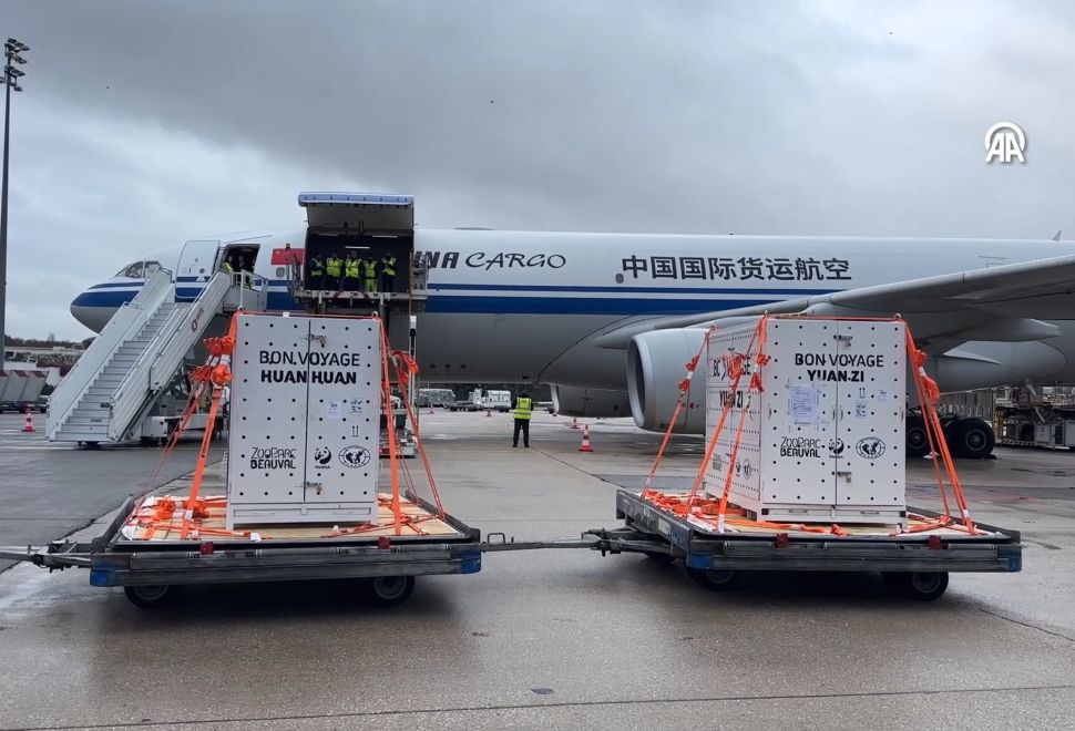 Beauval Hayvanat Bahçesi’nin Pandaları Çin’e Geri Döndü